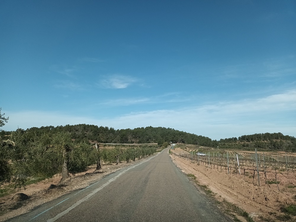 T3126_Capcanes_als_Guiamets_2.jpg