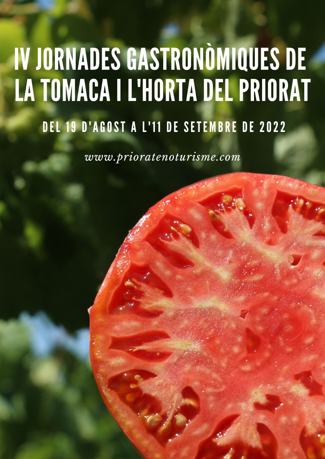 cartell jornades