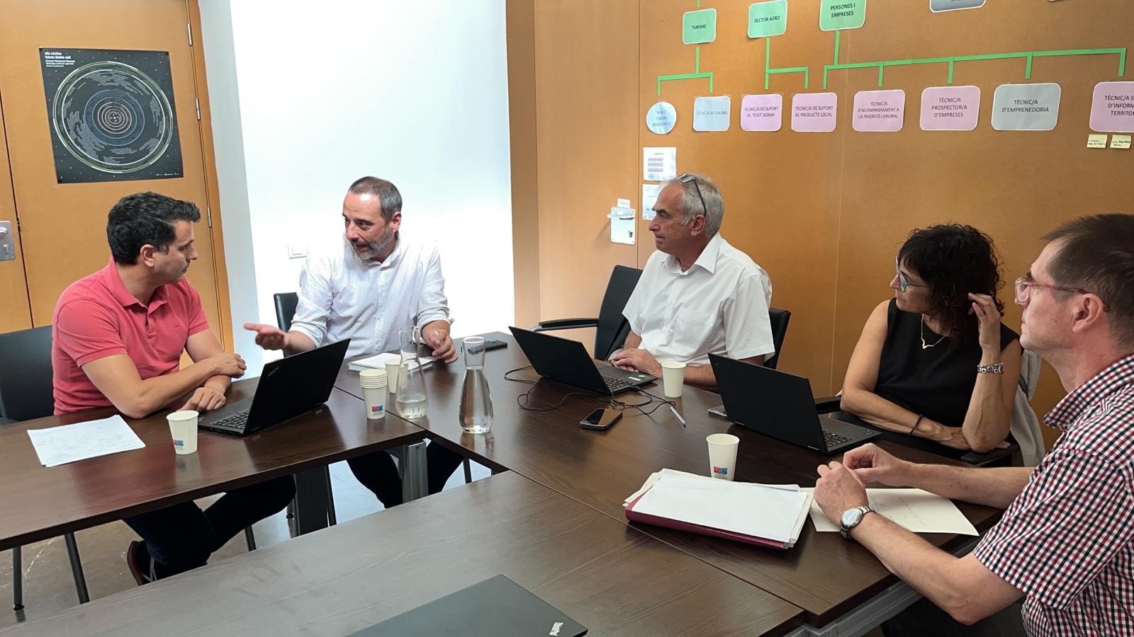 director al consell comarcal