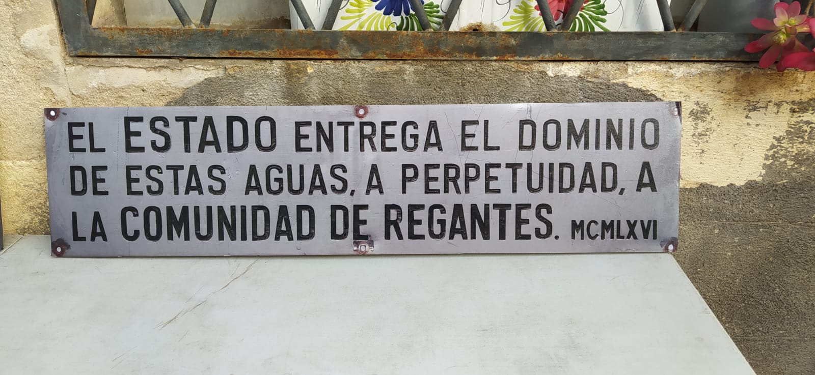 placariudecanyes