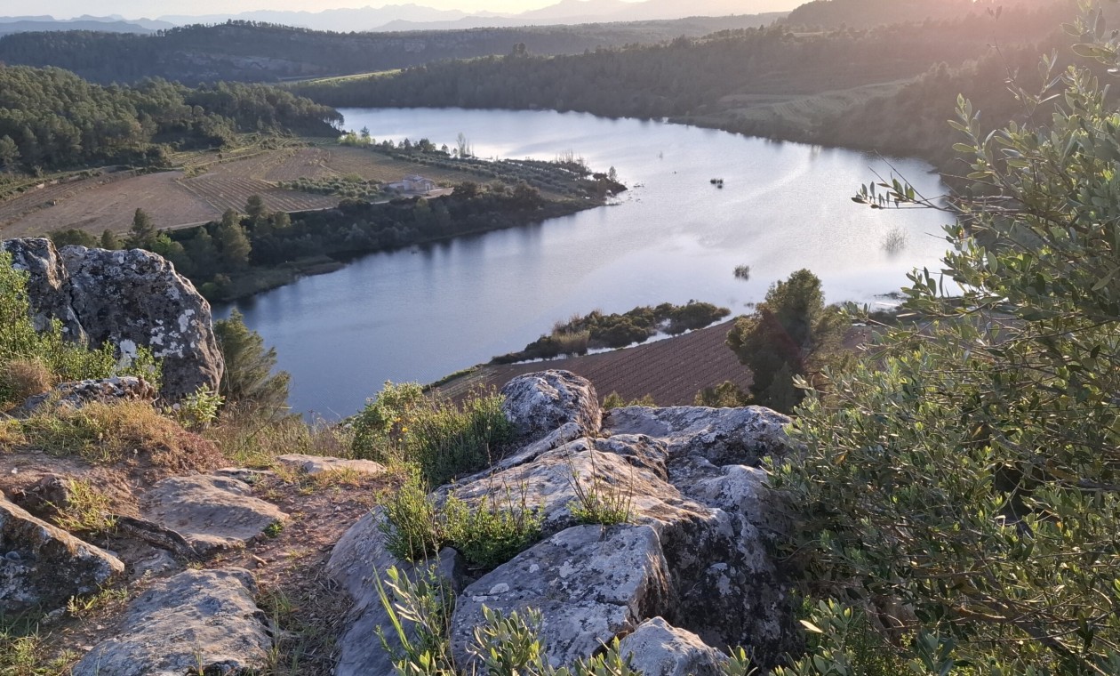 Arrenca el Cicle d'activitats als Miradors del Priorat amb una sortida interpretativa a Capçanes