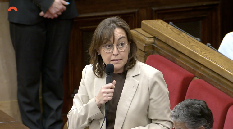 El Govern de la Generalitat veu 